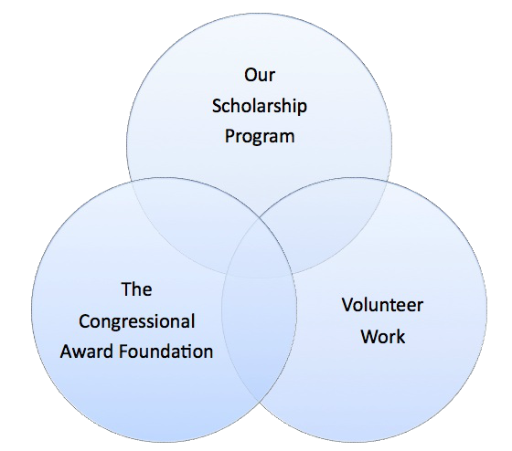The Maverick Foundation - Venn Diagram